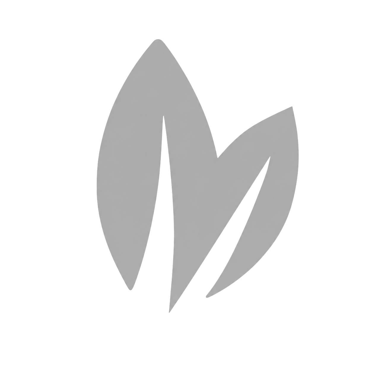 barly logo vaping cz_1